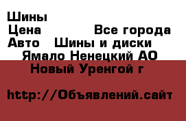 Шины bridgestone potenza s 2 › Цена ­ 3 000 - Все города Авто » Шины и диски   . Ямало-Ненецкий АО,Новый Уренгой г.